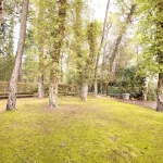 Pinar en Complejo Rural Victoria en Cuenca